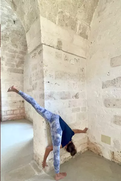 Fascia-Danse, stage